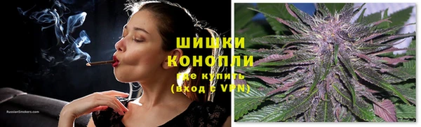 стаф Богданович