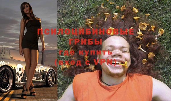 COCAINE Богородицк