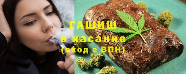 стаф Богданович