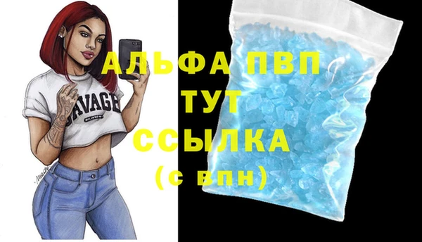 гашик Беломорск