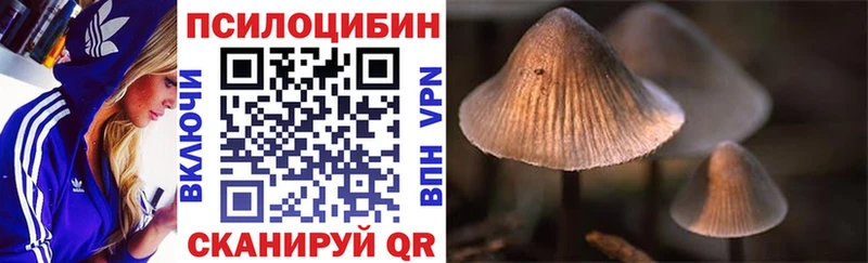 мега как зайти  где купить наркоту  Новокузнецк  Псилоцибиновые грибы GOLDEN TEACHER 
